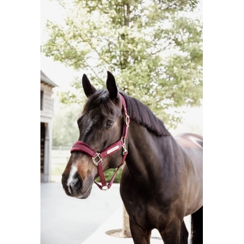 LICOL VELVET Myhorsely I L'équipement des chevaux et du cavalier. Magasin en ligne d'équitation dédié au cavalier