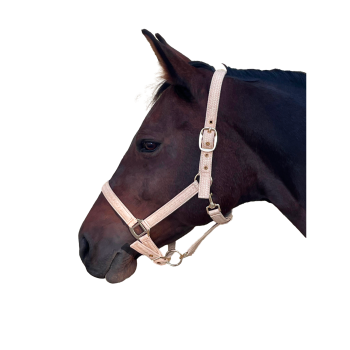 Sangle anatomique pour cheval Canter