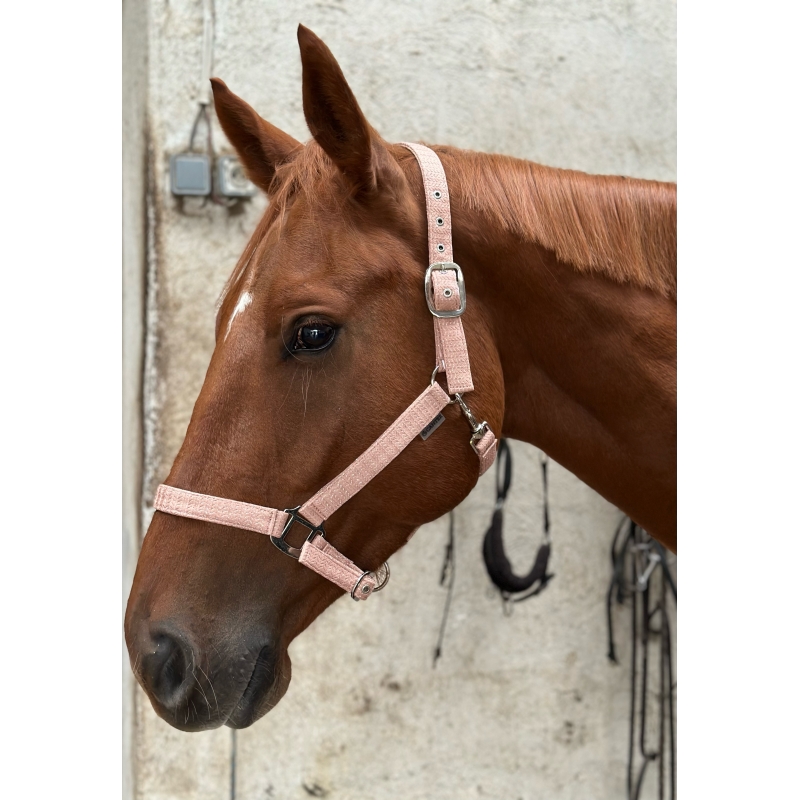 Licol CANTER Malibu cheval
