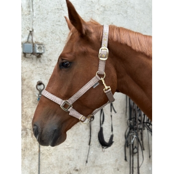 Licol CANTER Malibu cheval