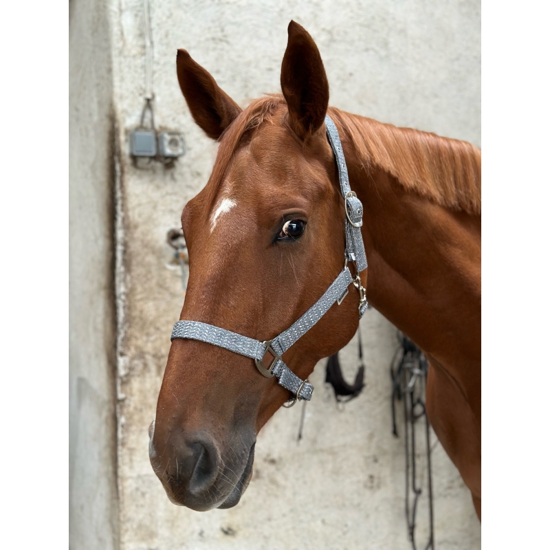 Licol CANTER Malibu cheval