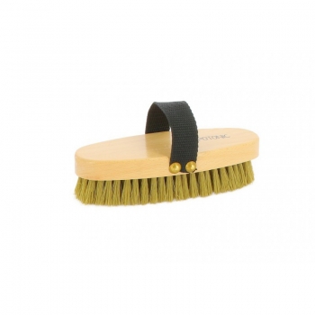 BROSSE DOUCE HIPPOTONIC GM - Caramel