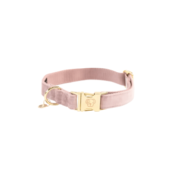 COLLIER POUR CHIEN VELVET - rose pale