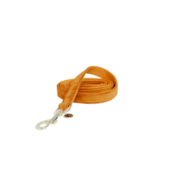 LAISSE POUR CHIEN VELVET 120CM Large - Orange