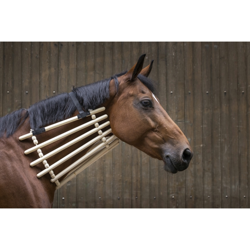 COLLIER DE BOIS HIPPOTONIC