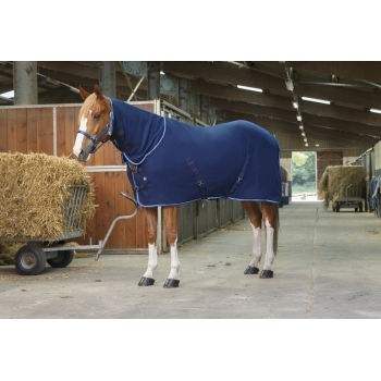 CHEMISE POLAIRE RIDING WORLD "COMBO"