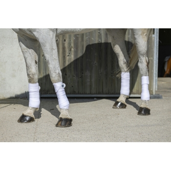 BANDES DE POLO RIDING WORLD "ECO"