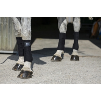 BANDES DE POLO RIDING WORLD "ECO"