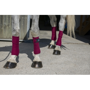 BANDES DE POLO RIDING WORLD "ECO"