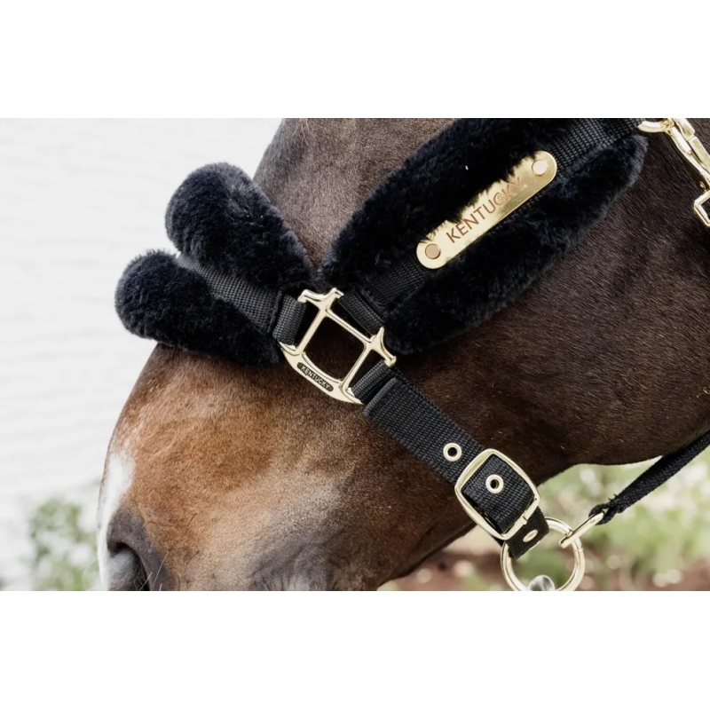 Licol Nylon mouton Soft Licol Nylon mouton Soft
