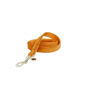 LAISSE POUR CHIEN VELVET 120CM Small - Orange