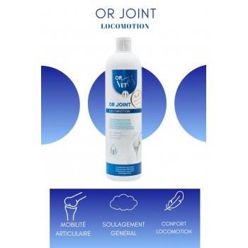 OR JOINT