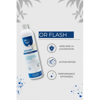 OR FLASH