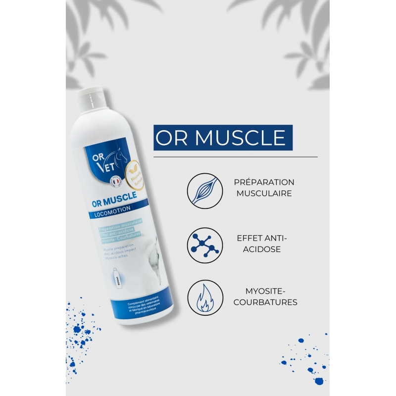 OR-MUSCLE OR-MUSCLE