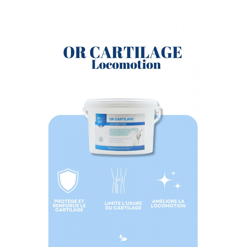 OR CARTILAGE OR CARTILAGE