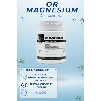 OR MAGNESIUM