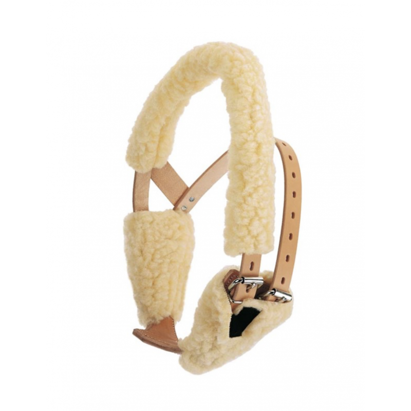 KIT POLAIRE POUR COLLIER ANTI TIQUE
