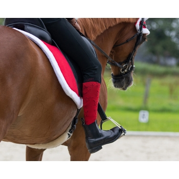 Chaussettes d'équitation Noël (lot de 2)