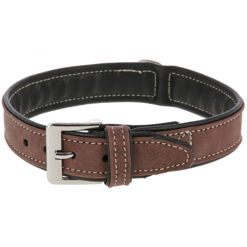 Collier pour chien California