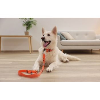 Laisse longue pour chien Puno