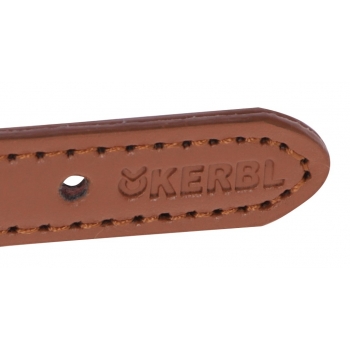 Collier pour chien Phoenix