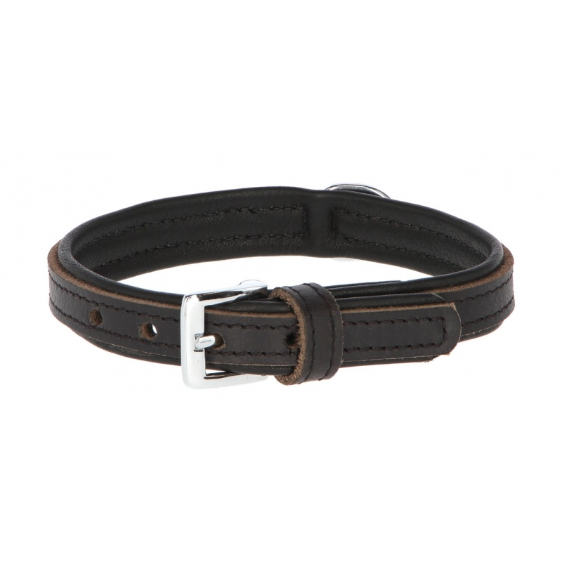 Collier pour chien Vegas HQ