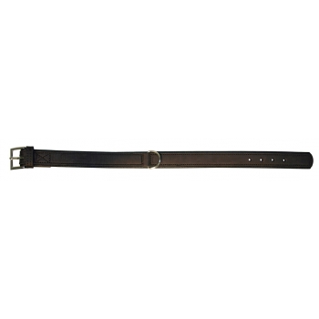 Collier pour chien Vegas HQ