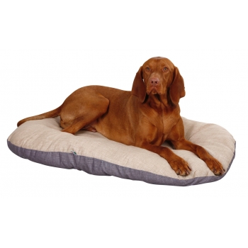 Coussin Loneta