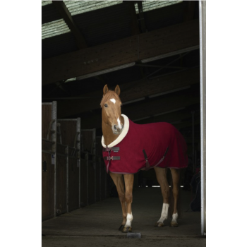 CHEMISE POLAIRE EQUITHÈME "TEDDY"