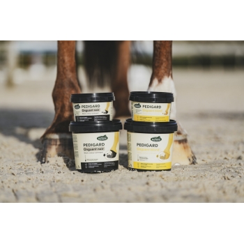 PEDIGUARD ONGUENT NOIR RAVENE