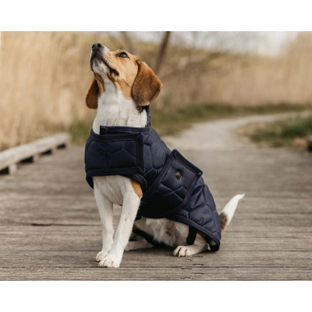 Couverture de chien Classy