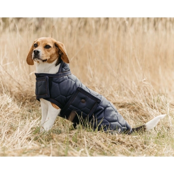 Couverture de chien Classy