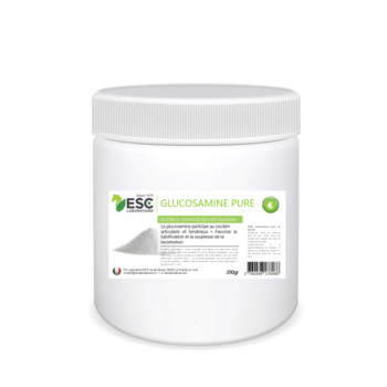 GLUCOSAMINE PURE – Protection du cartilage cheval