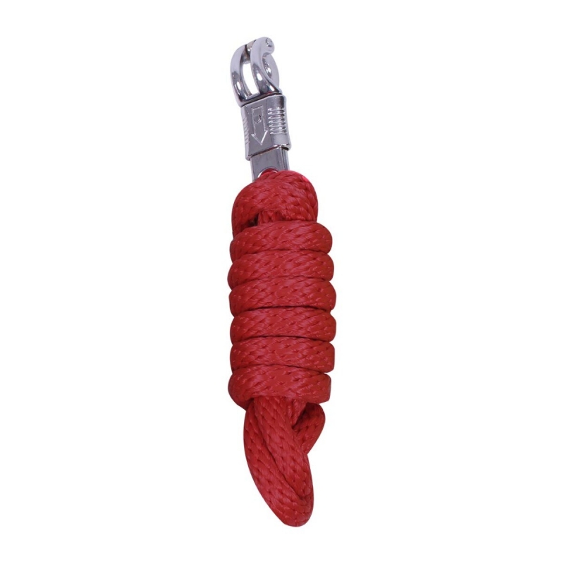 Longe avec clip de panique