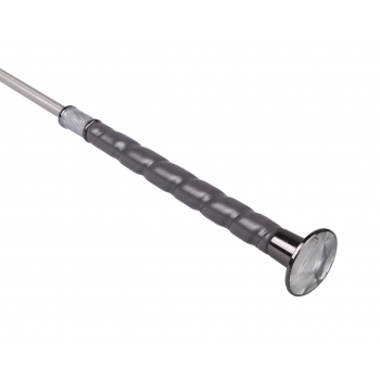 Stick de dressage Dashing