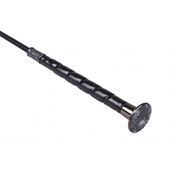 Stick de dressage Dashing