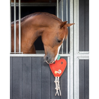 Jouets pour chevaux