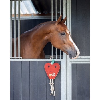 Jouets pour chevaux