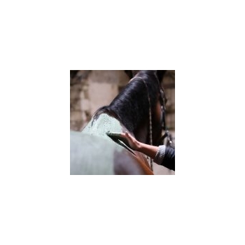 ENVELOPPEMENT CHAUD ALGUES 1KG