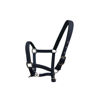 Set De Licol Et Longe ATAMIK