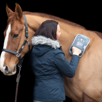 Gant de massage chauffant Equilibrium