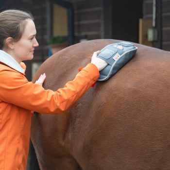 Gant de massage chauffant Equilibrium