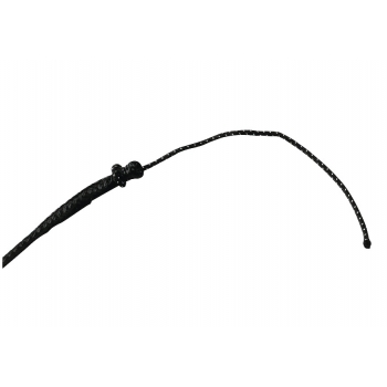 CRAVACHE DE DRESSAGE WHIP & GO