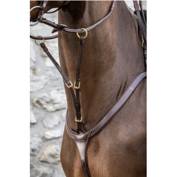 Fourchette de Martingale A Anneaux