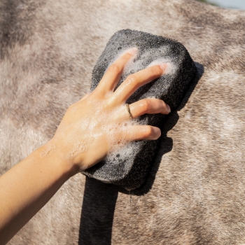 Equi super shiner