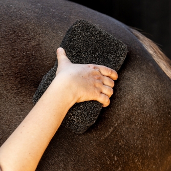 Equi super shiner