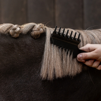 Peigne de crinière avec clip