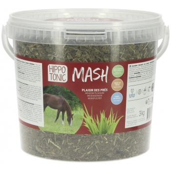 MASH HIPPOTONIC - PLAISIR DES PRÉS