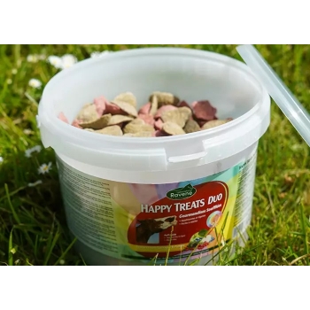 RAVENE HAPPY TREATS DUO 2KG