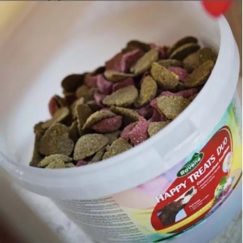 RAVENE HAPPY TREATS DUO 2KG